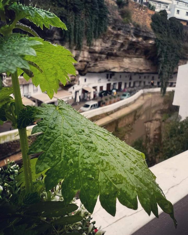 Casa Bajo La Roca Villa Setenil De Las Bodegas Bagian luar foto